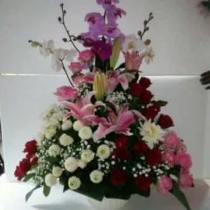 BM 009 Mawar